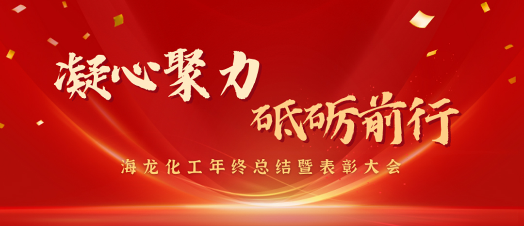表彰 | 凝心聚力，砥礪前行，海龍化工年終總結暨表彰大會圓滿舉行